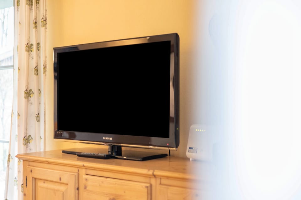 Television