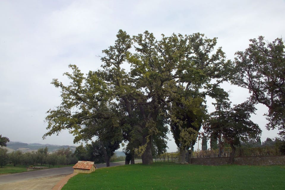 Accommodation