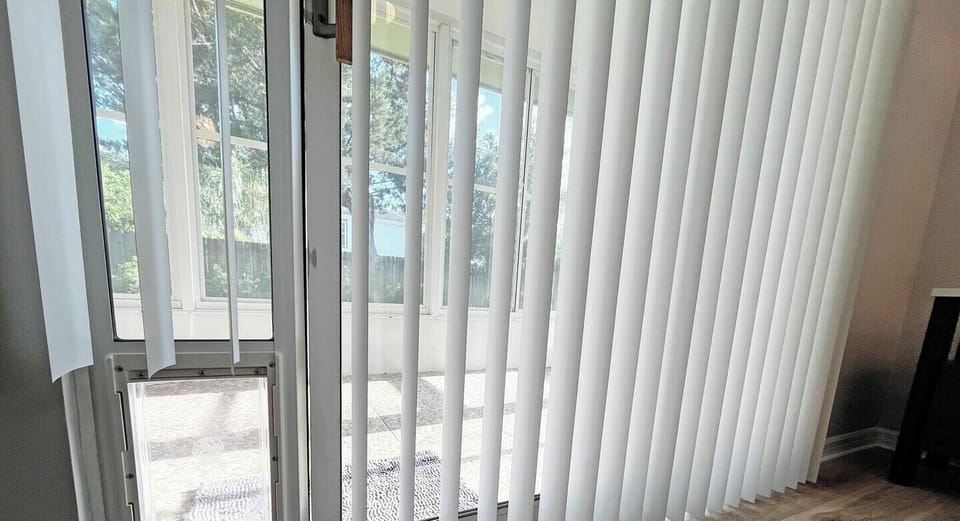 St. Augustine Beach Home Rental Dog Door