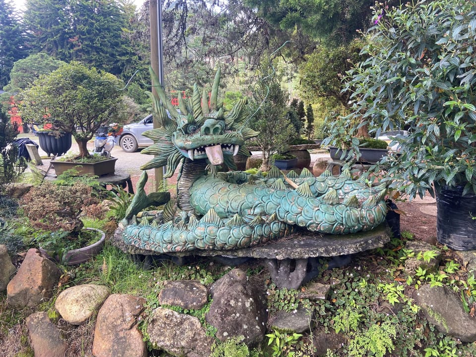 Miscellaneous