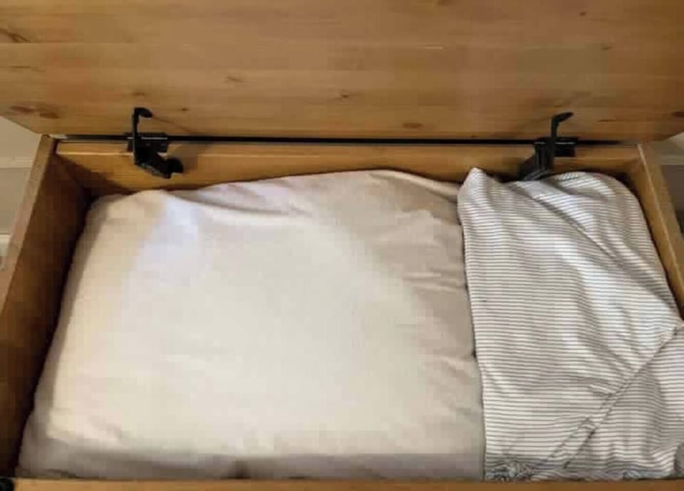 linens for the pull out couch