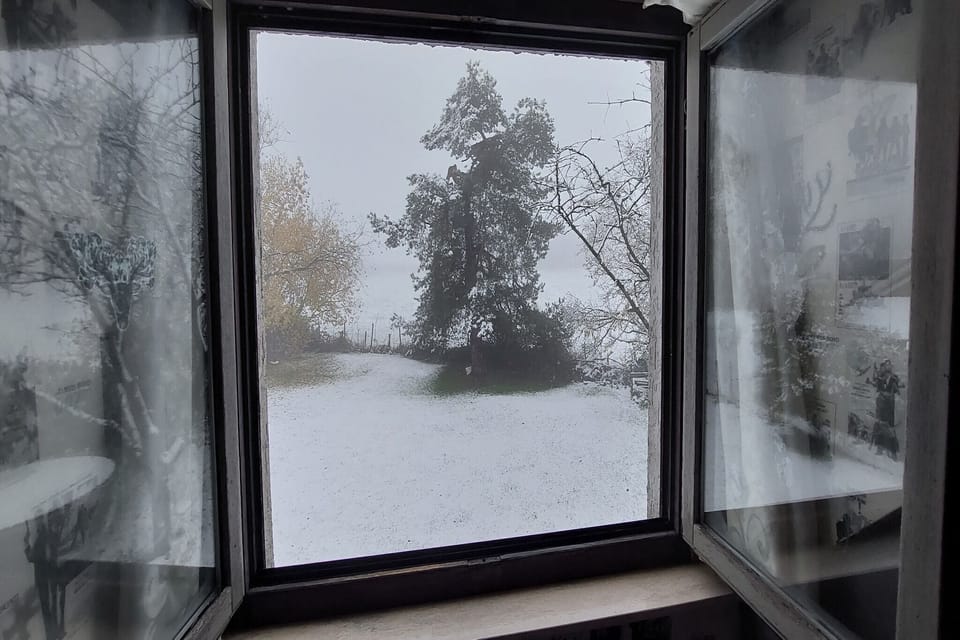 Garden [winter]