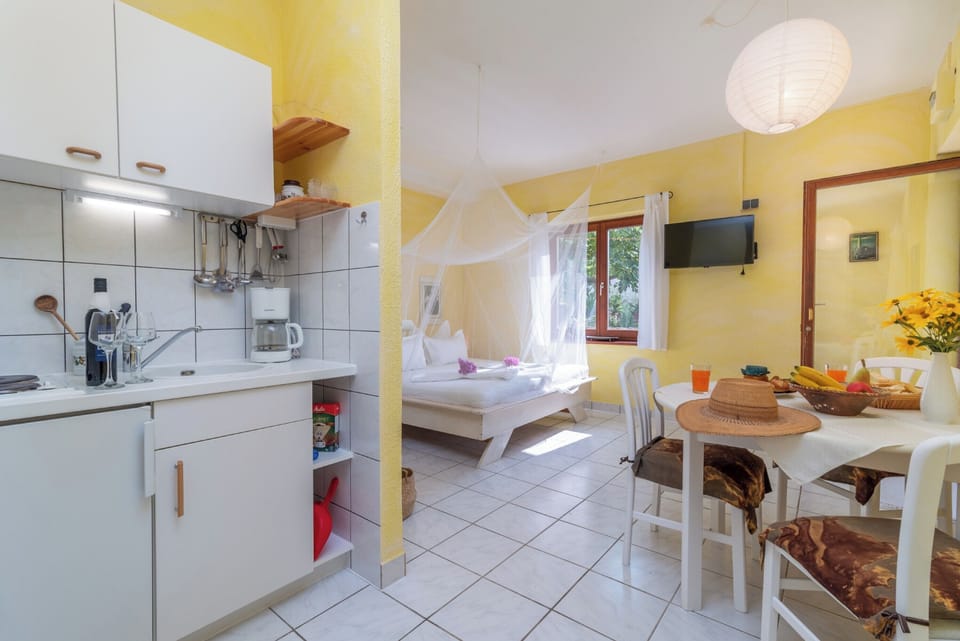Studio, kitchen and dining area