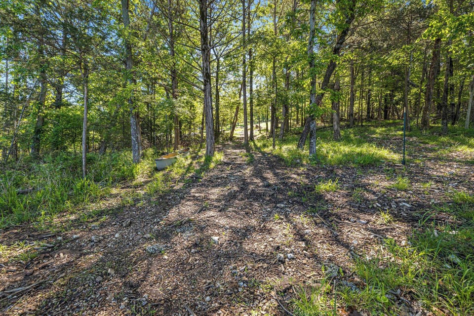 Easy access to Beaver Lake from the back yard!