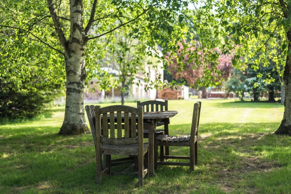 Garden , many places to sit and relax 