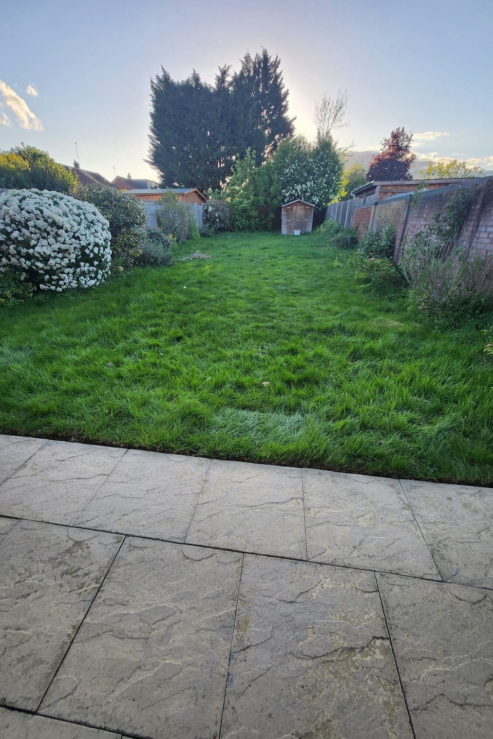 Back Garden