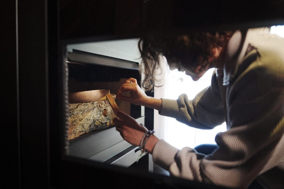 Cozy up with a crackling fire after a day exploring Estes Park