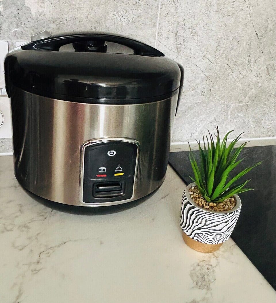 Rice cooker