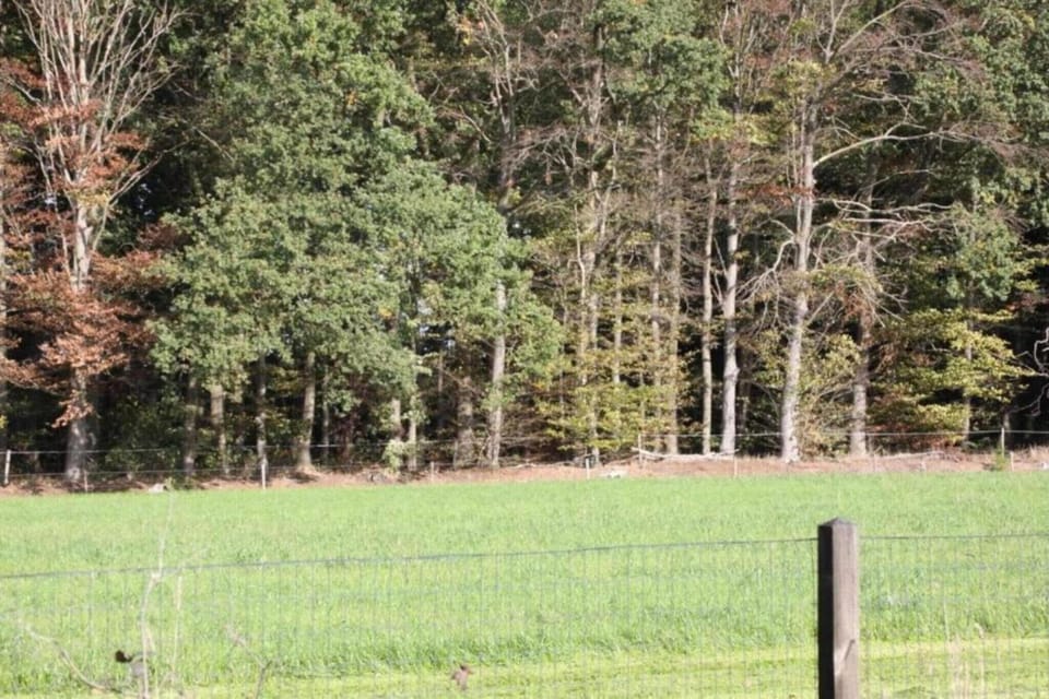 Surroundings [summer] (1-5 km)