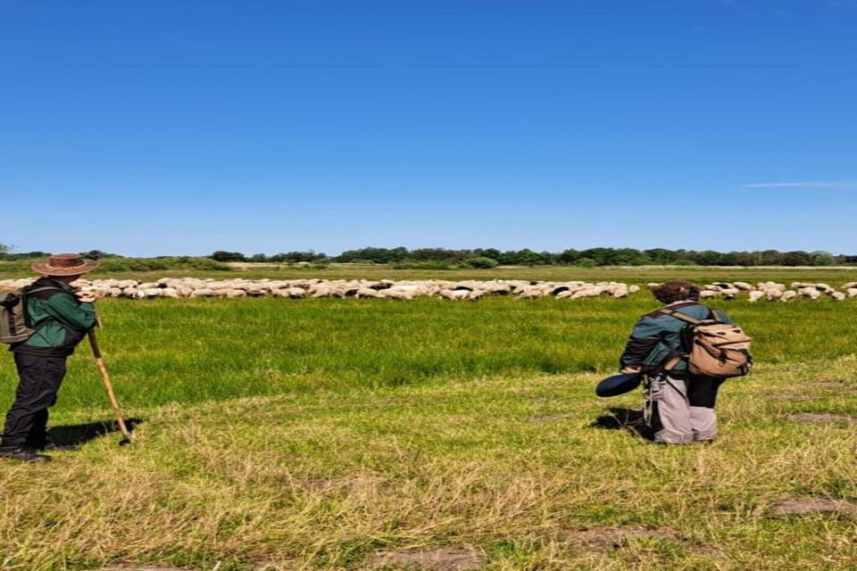 Surroundings [summer] (1-5 km)