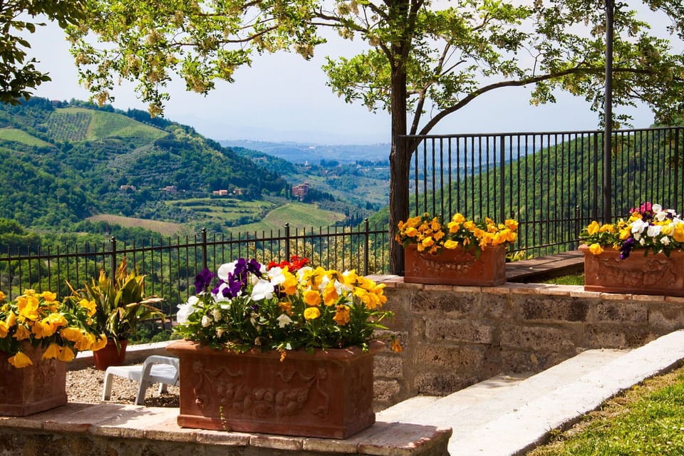 Flowerpot, Hill, Spring, Houseplant, Garden, Fence, Landscaping, Outdoor Table, Floristry