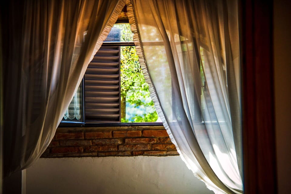 Window Covering, Curtain, Window Treatment, Textile, Interior Design, Brown, Sunlight, Shade, Daylighting, Glass