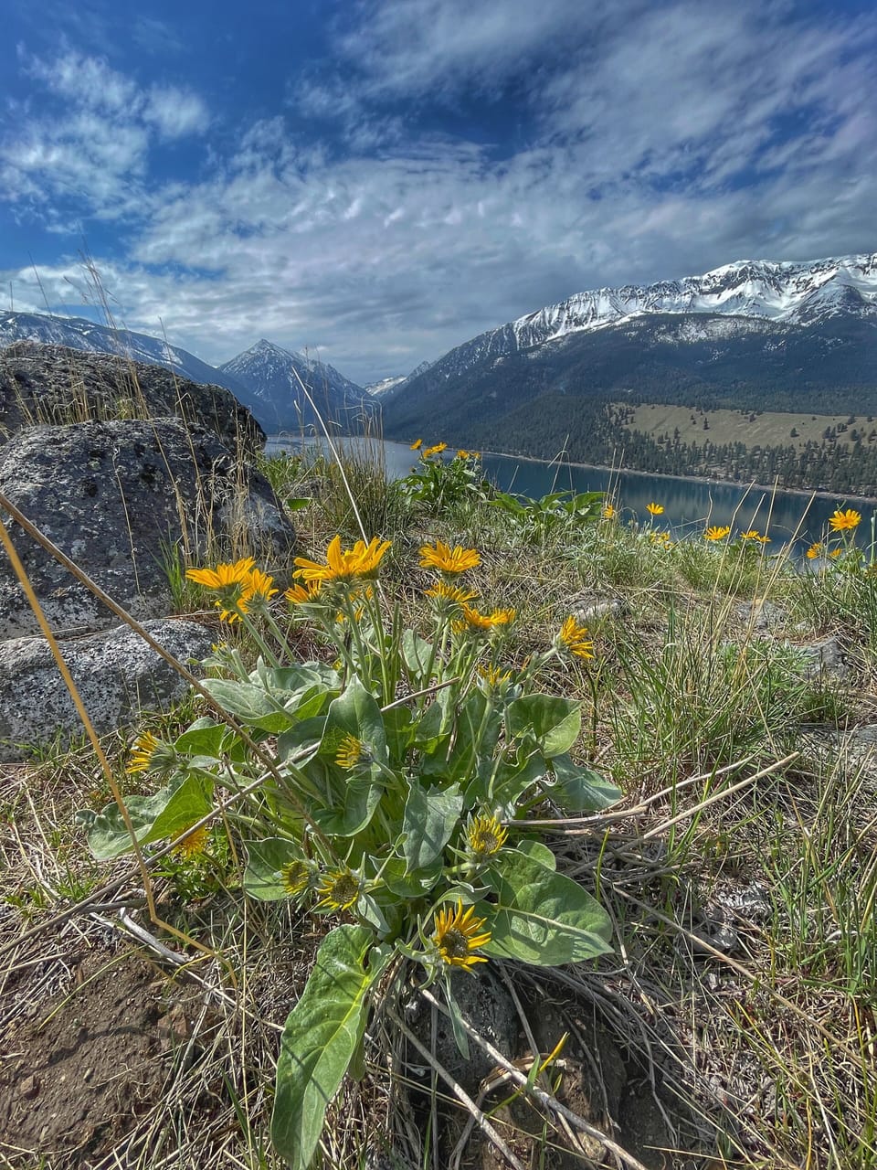 The east moraine in the spring--an easy walk from the Mc Cully Cabin.