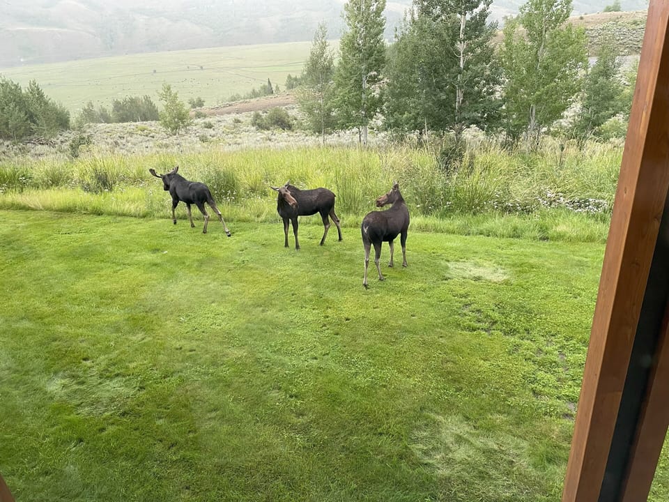 View from property