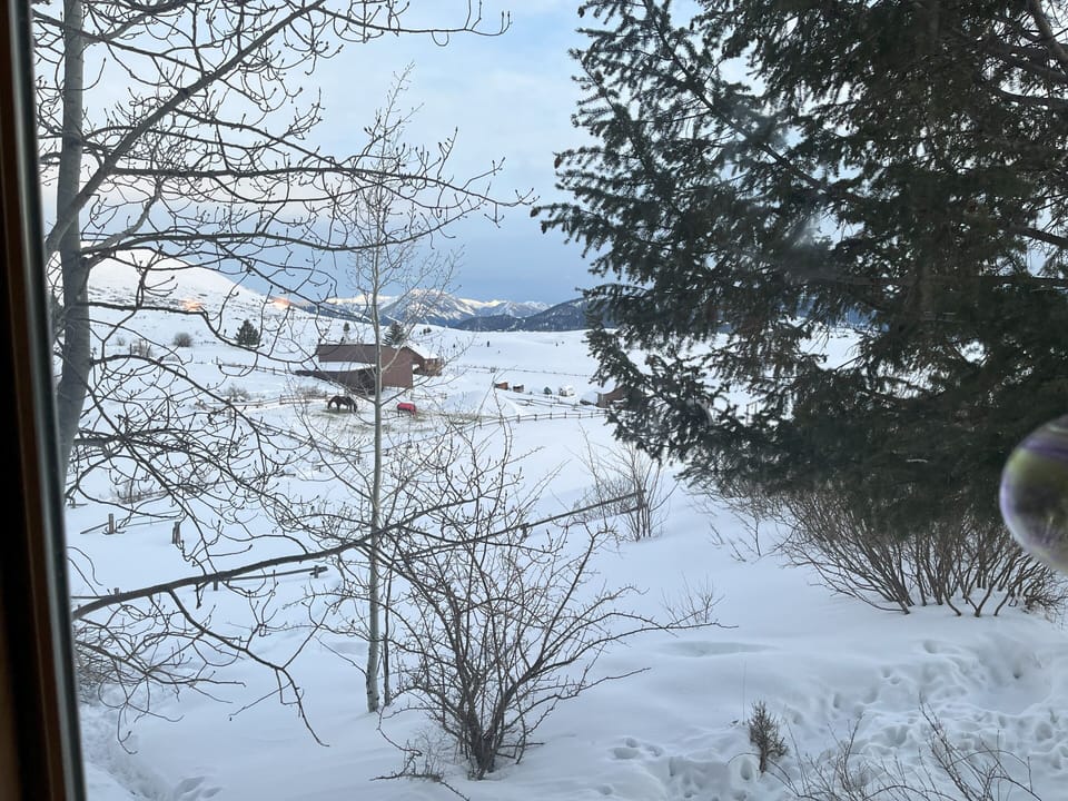 View from property