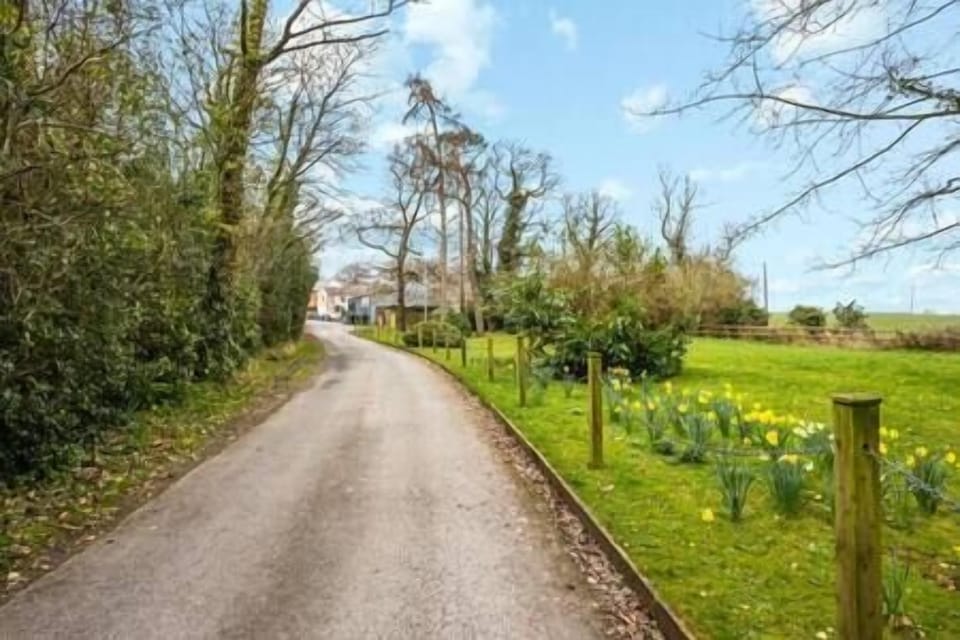 Surrounding Greenery