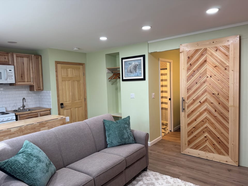Living room/ Kitchenet