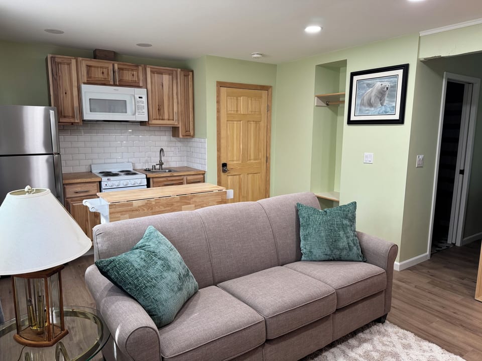 Living room/pull out queen sofa/ Kitchenet