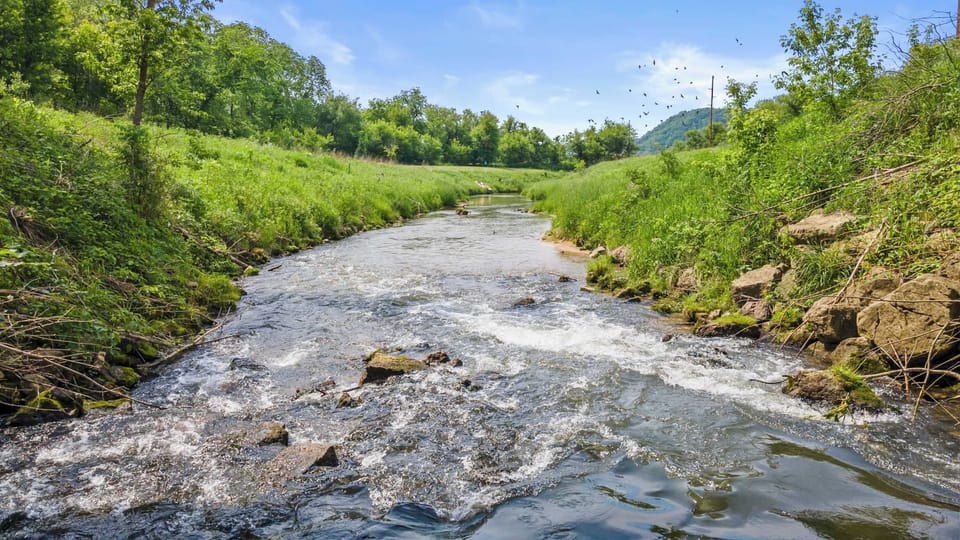 Bad Axe River - class 1 trout stream