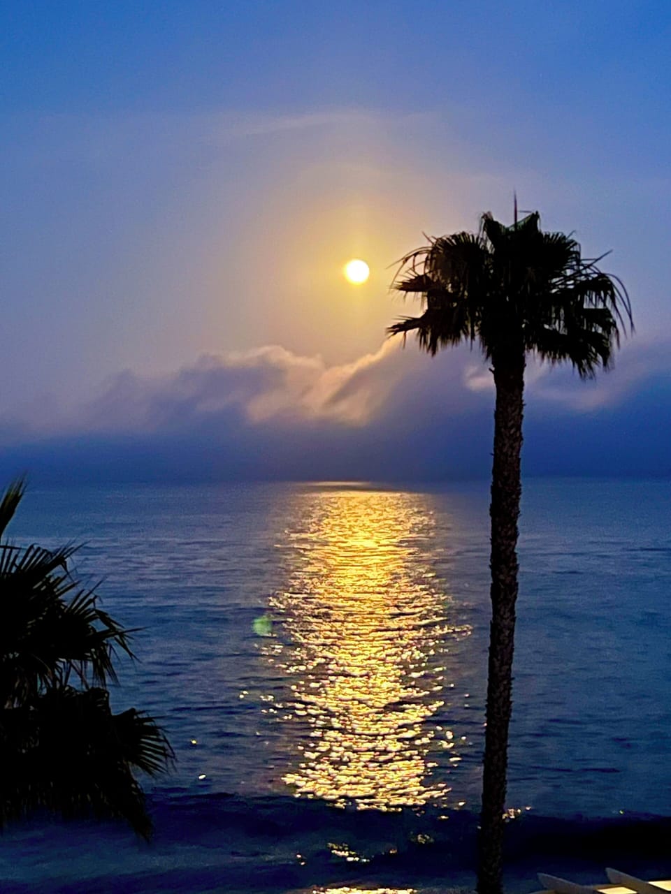 Enchanting Evening Views