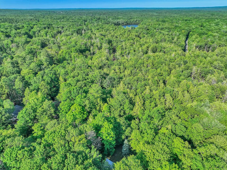 Endless Woodland Views Offering Ultimate Privacy