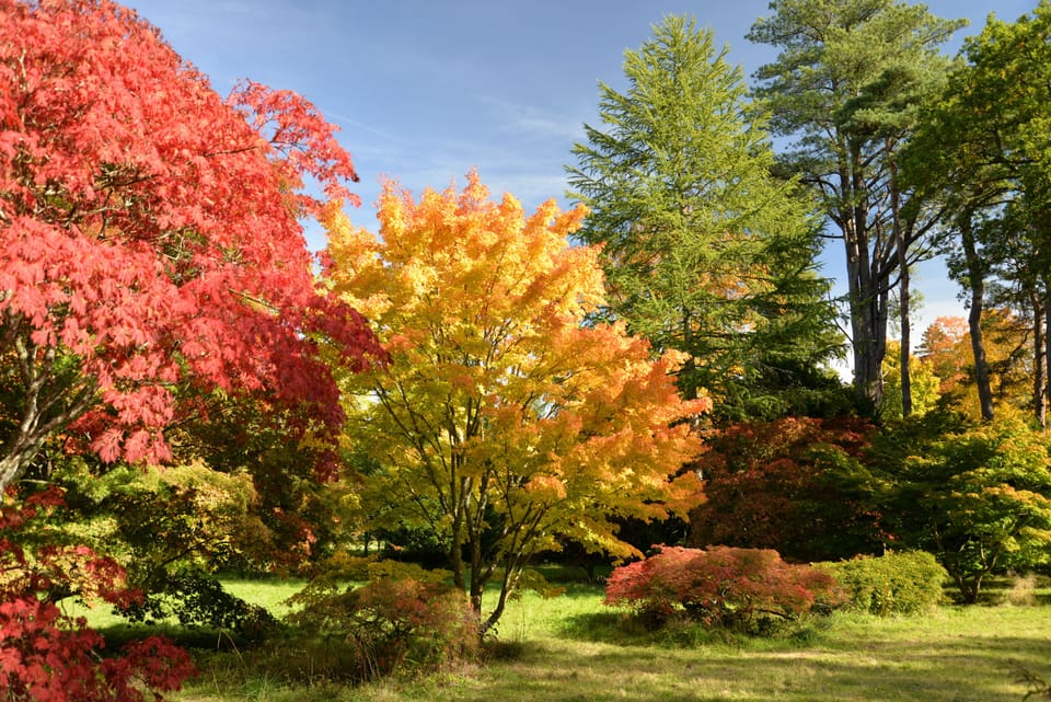 Miscellaneous