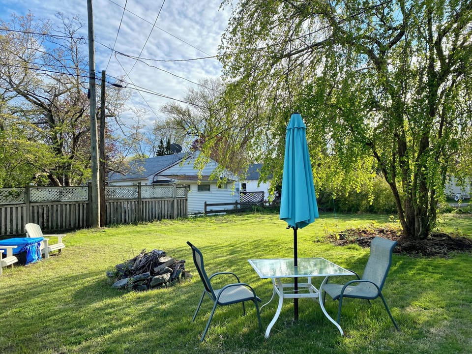 back yard
