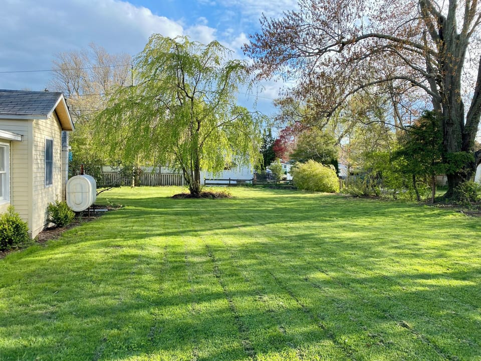 side yard