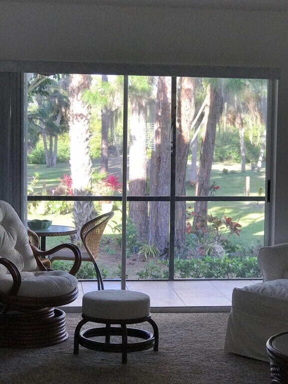 Sanctuary view from my living room☺️
