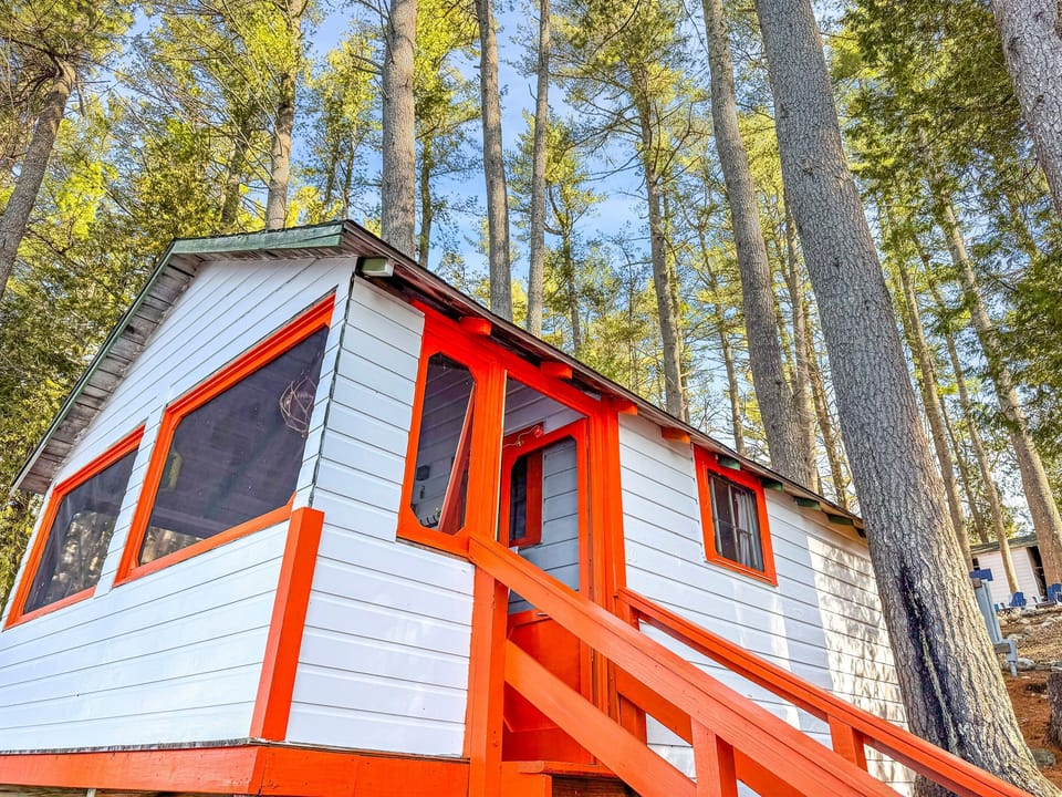 Cozy cabin vibes in the heart of the forest