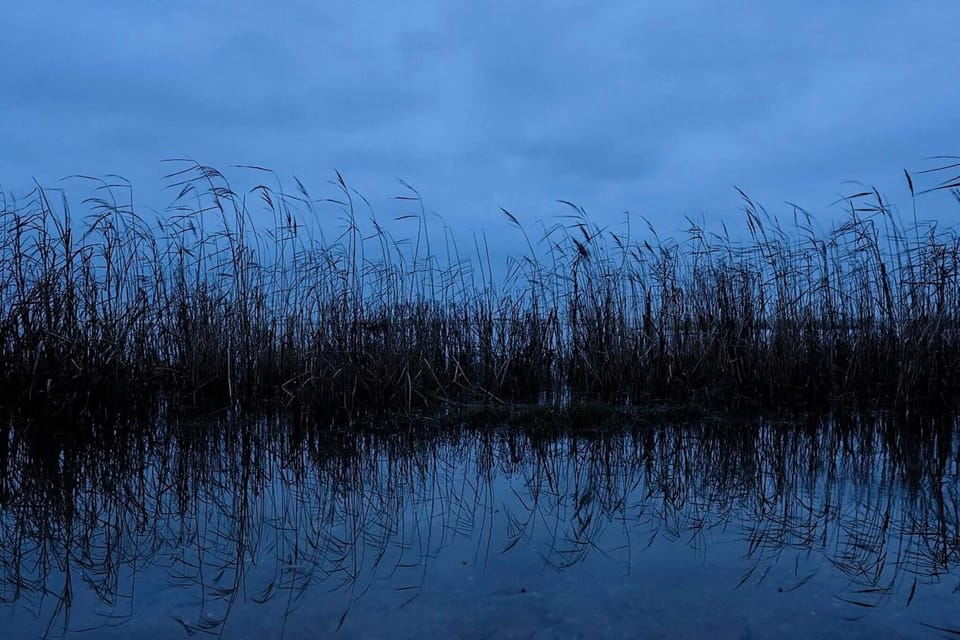 Water view