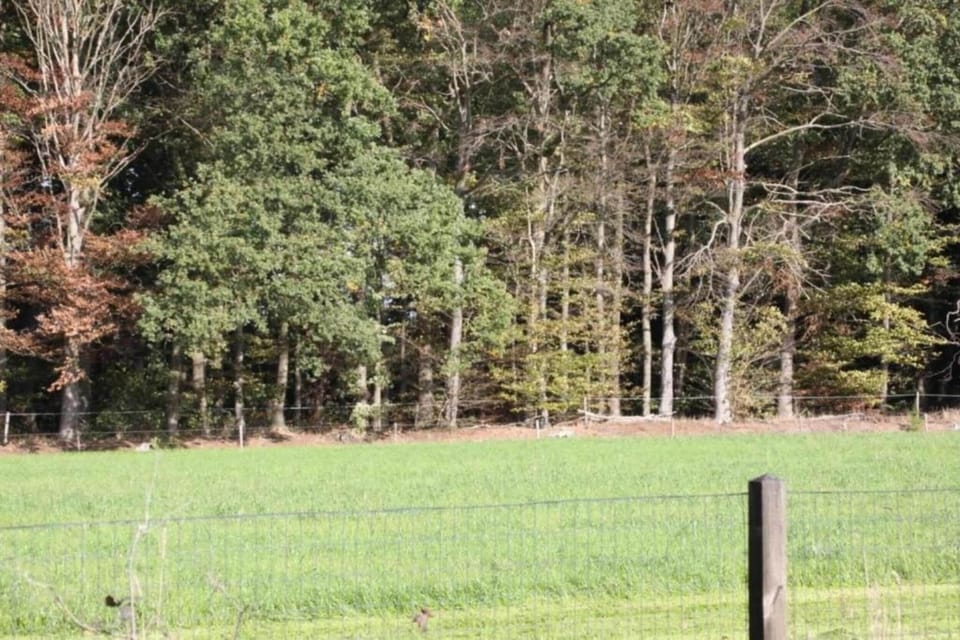 Surroundings [summer] (1-5 km)