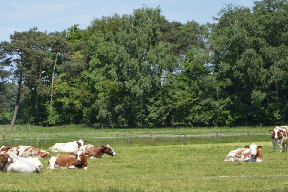 Surroundings [summer] (1-5 km)