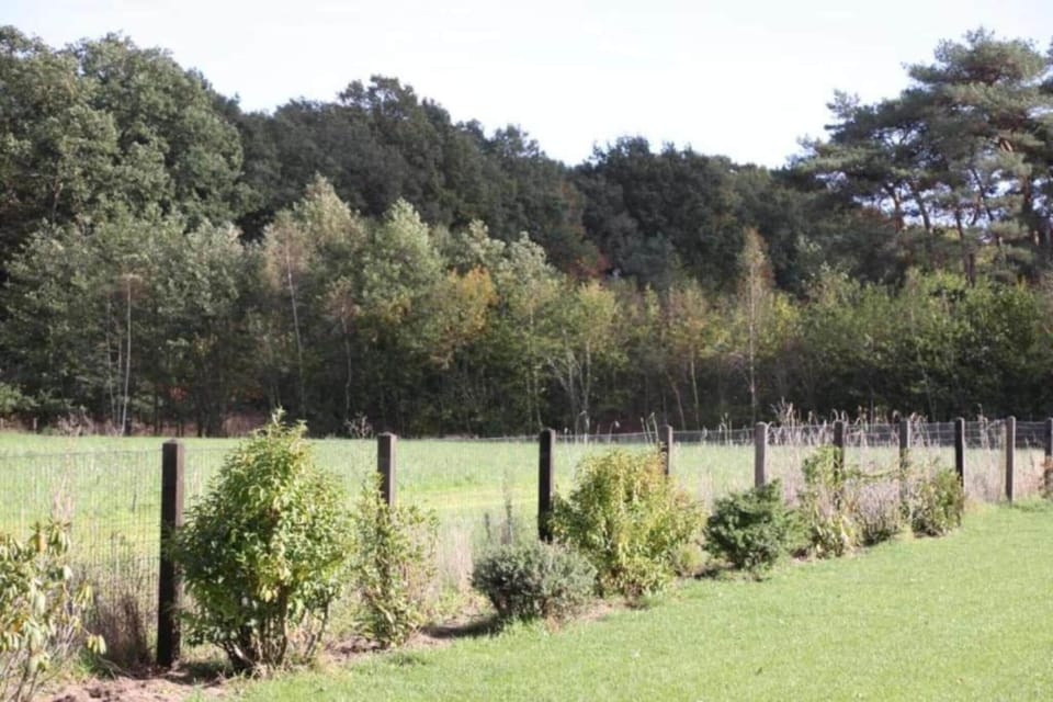 Surroundings [summer] (1-5 km)