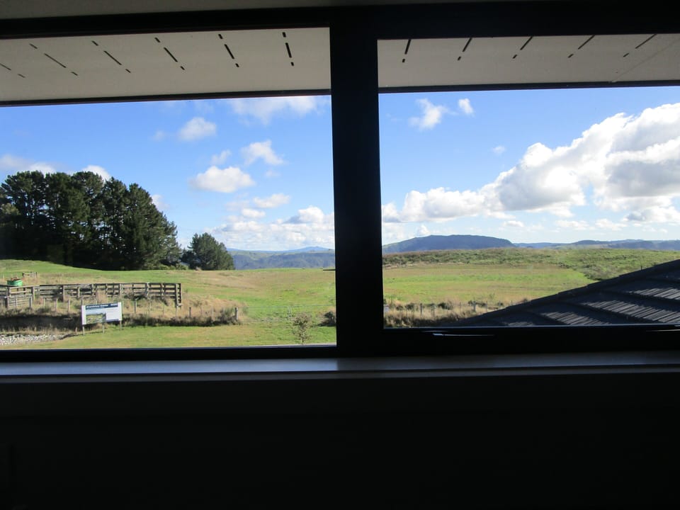 A view to enjoy while you do the dishes.