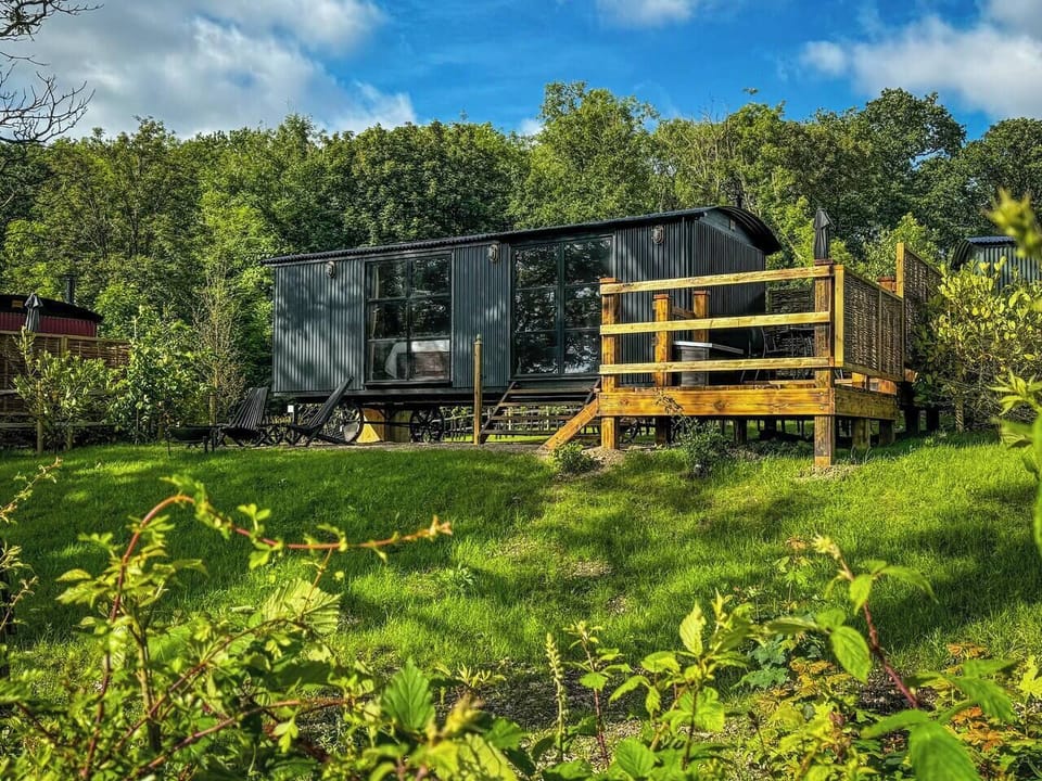 2717c1f4-ac6a-4f3e-ba0d-d81c24036c8f