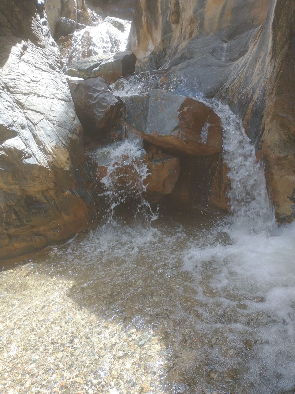 Miscellaneous