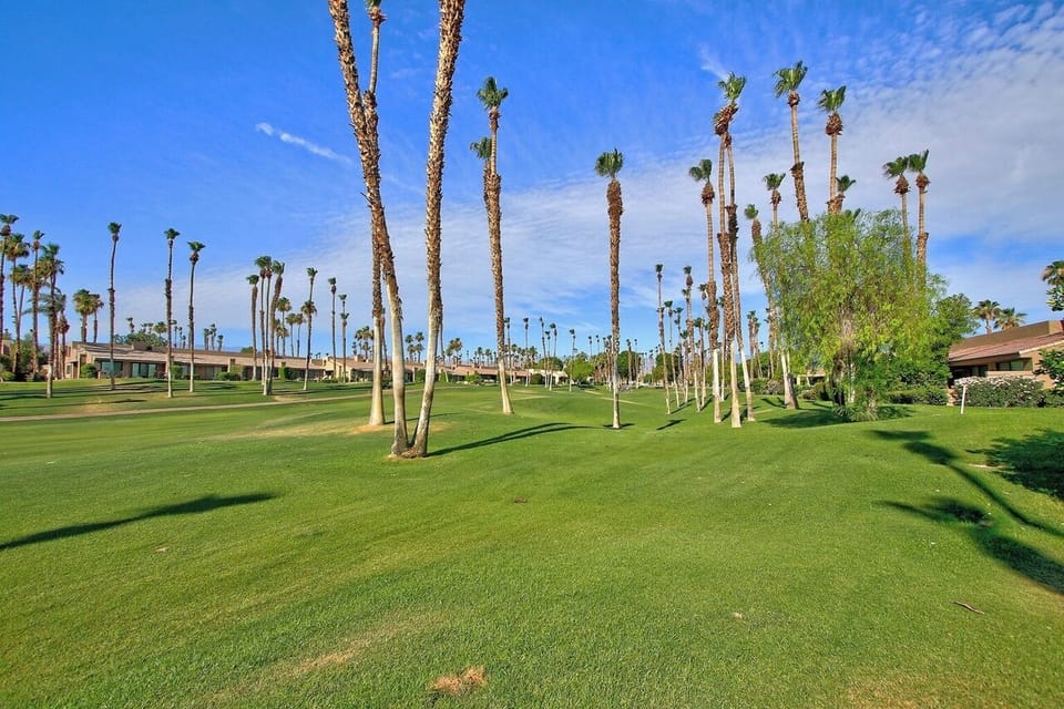 16th fairway at Palm Valley Country Club