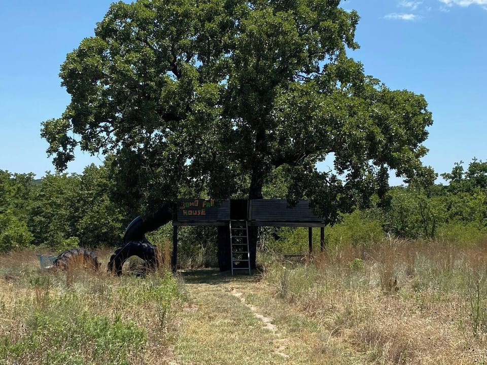 the kids and adults can enjoy the treehouse!!!