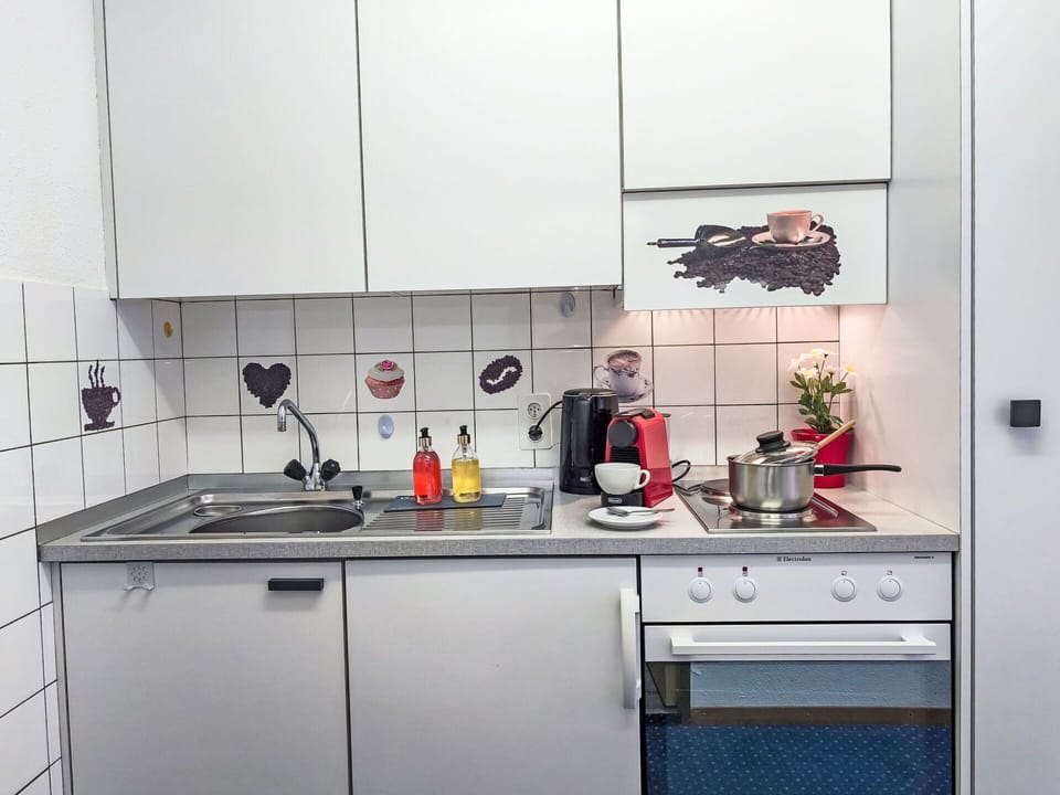 Kitchen Appliance, Kitchen, Countertop, Major Appliance, Kitchen Sink, Sink, Kitchen Stove, Home Appliance, Stove, Cabinetry