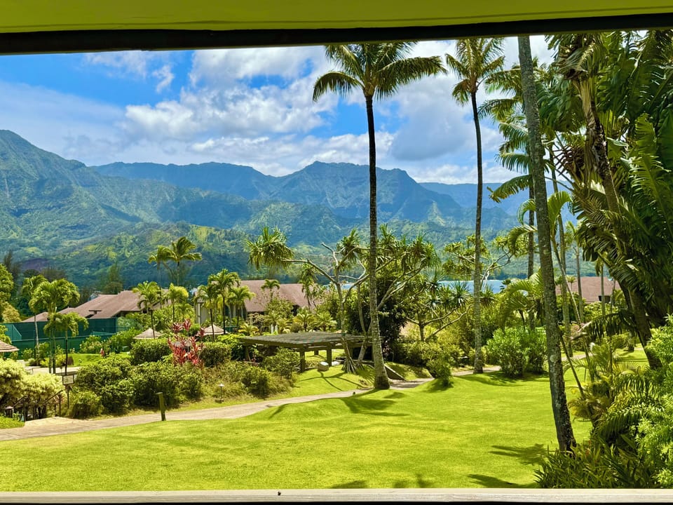 View from the patio