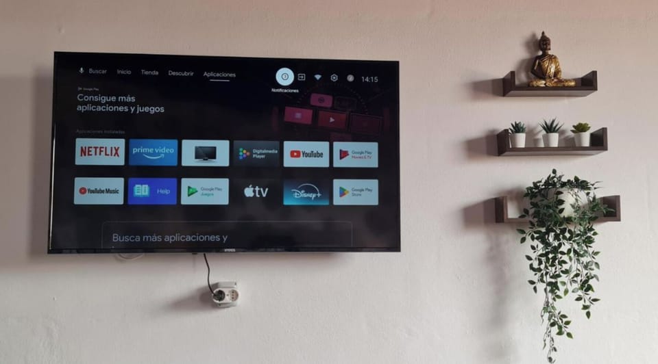 Television
