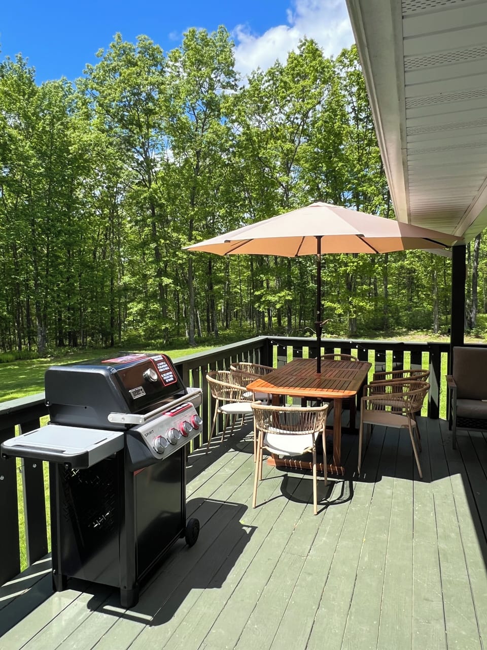 Outdoor grill and dining table
