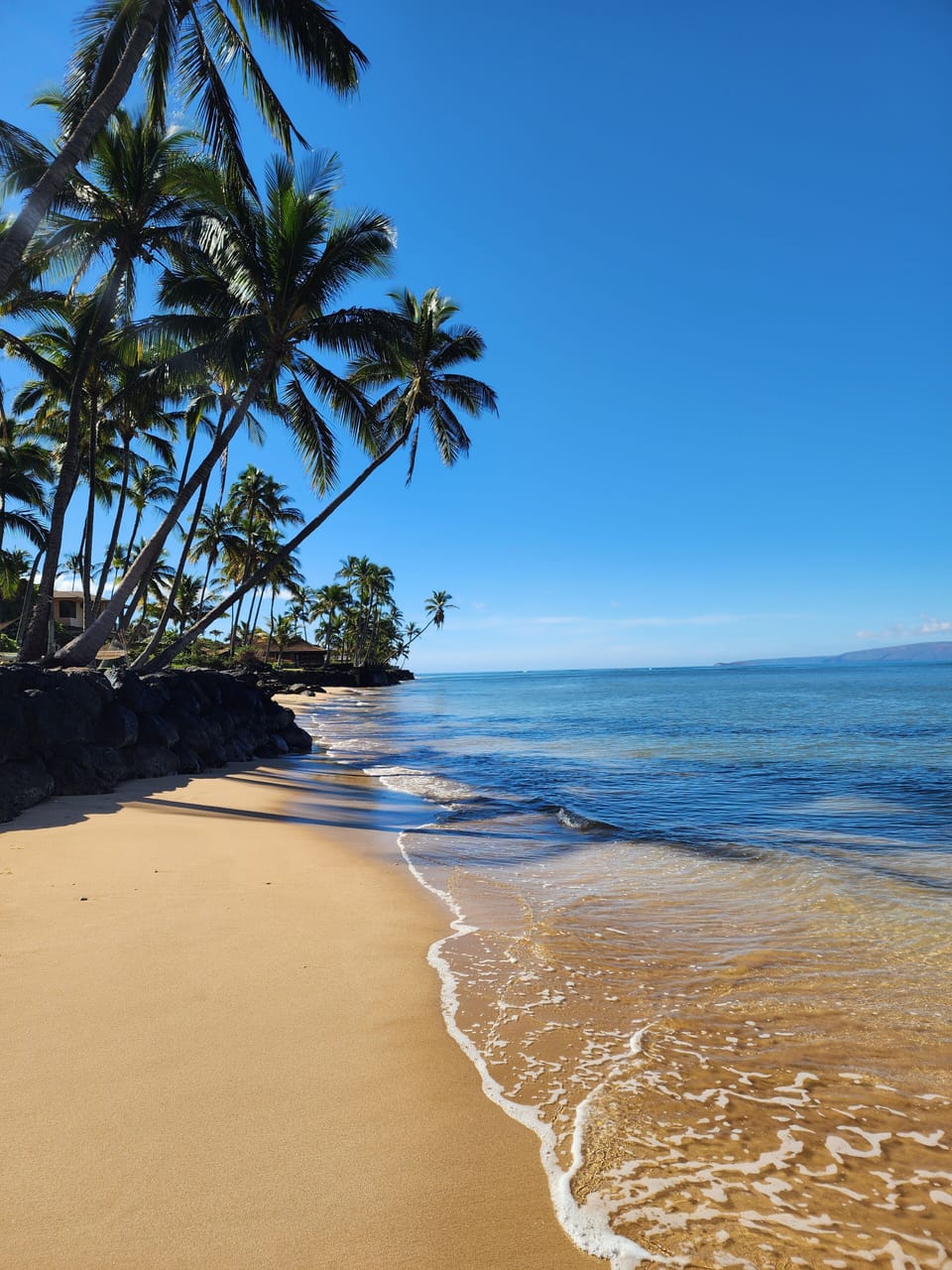 Beautiful beaches to walk and swim