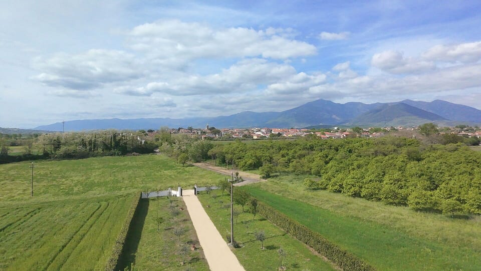 Green, Grass, Grassland, Plain, Landscape, Land Lot, Cloud, Field, Rural Area, Agriculture