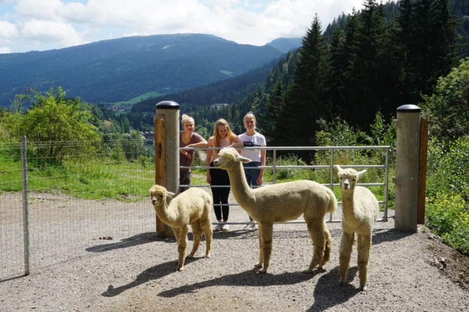 Holiday Park Facilities and Services 