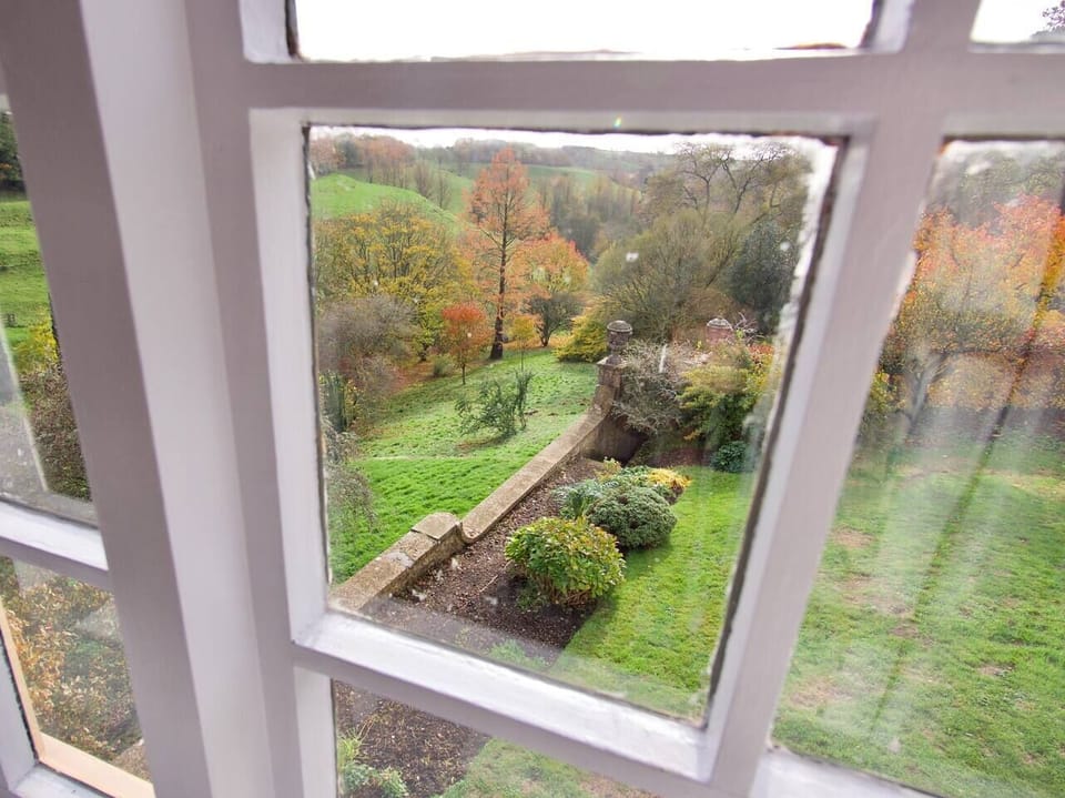 Through the master bedroom window