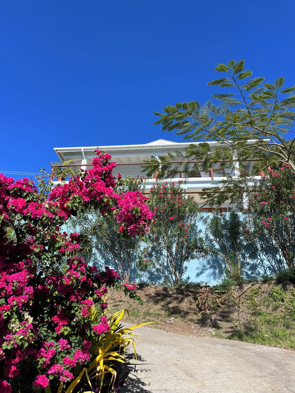 Property with bougainvillea in bloom