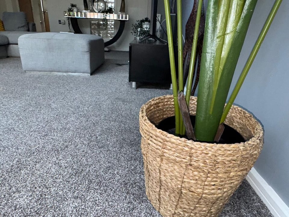 Living Room / Lounge