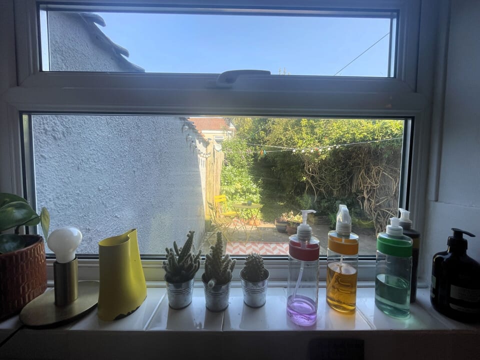 Back Garden